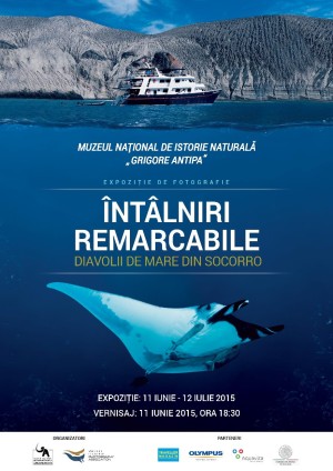 Diavolii de mare din Socorro ajung la Muzeul Antipa Diavolii de mare din Socorro ajung la Muzeul Antipa